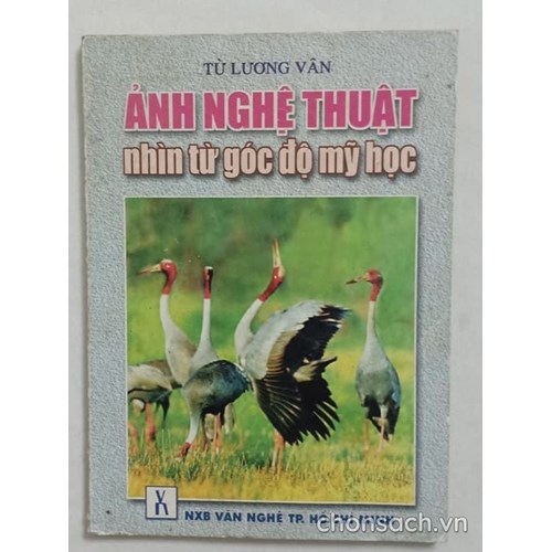 Ảnh nghệ thuật nhìn từ góc độ mỹ học 