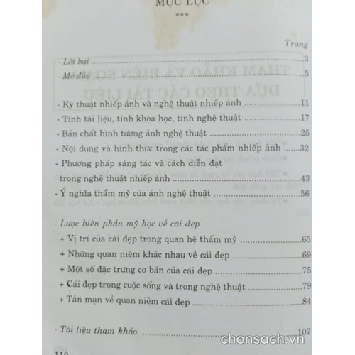 Ảnh nghệ thuật nhìn từ góc độ mỹ học 